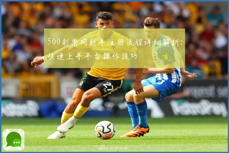 500彩票网新手注册流程详细解析：快速上手平台操作技巧